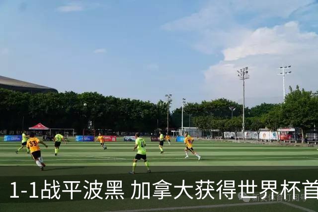 1-1战平波黑 加拿大获得世界杯首个积分